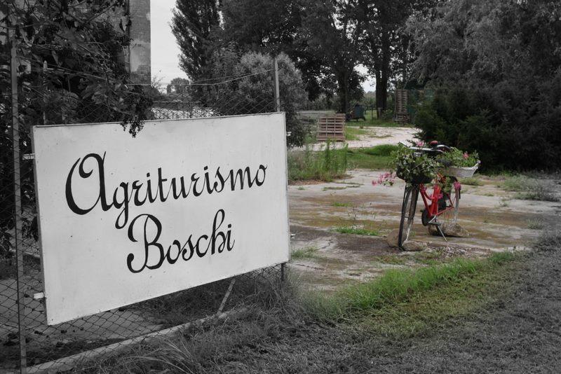 Agriturismo Boschi Reggiolo Exteriér fotografie